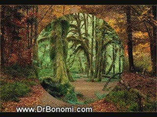 28 El Secreto - The Secret de Rhonda Byrne