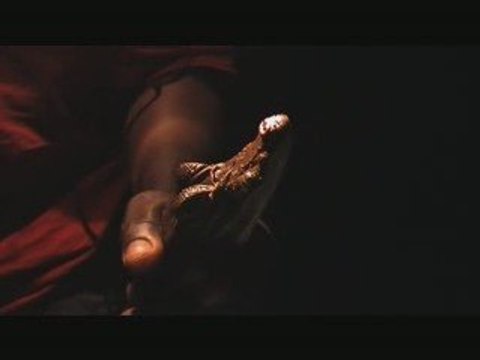 CHASSE AU CAIMANDANS LES MARAIS DE KAW