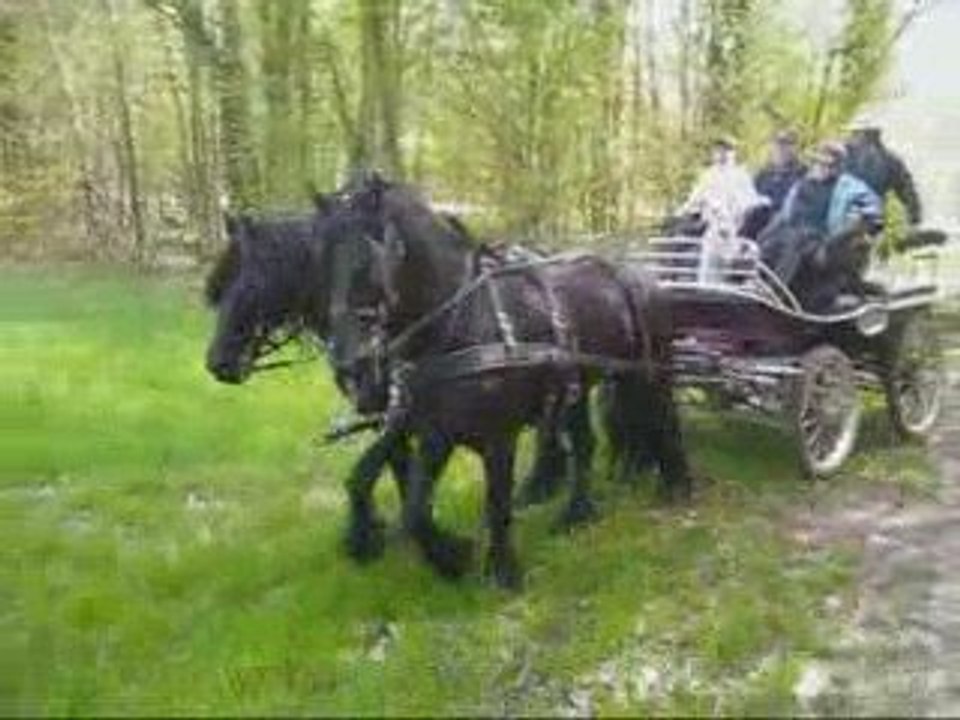 Hollandais a Montier en Der Suite