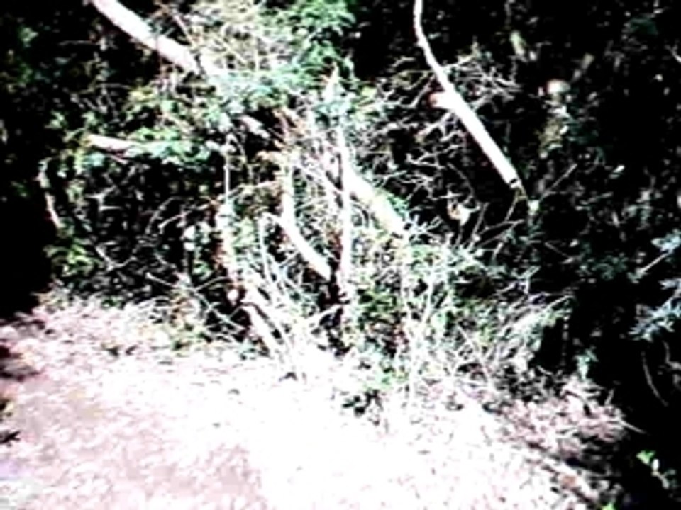 Stage Enduro Olivier Navarro Janas 19-04-09 AVI_0011