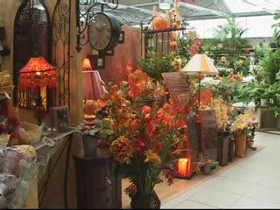 Baobab Béziers balaruc décoration intérieure