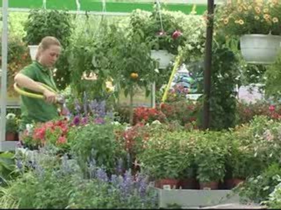 Baobab Béziers balaruc plantes et fleurs