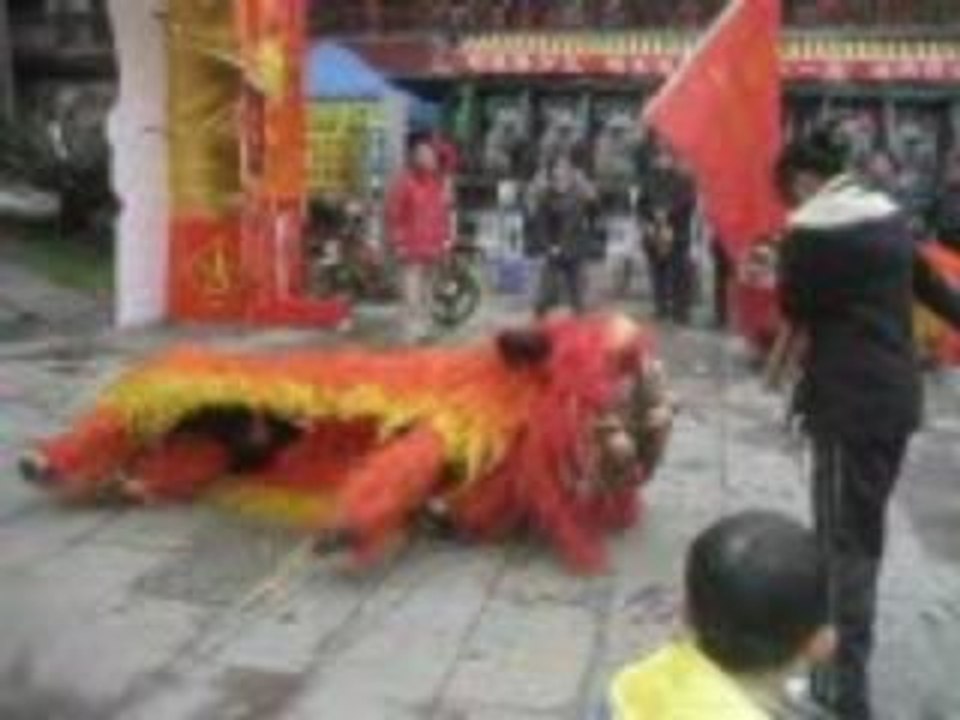 danse dragons