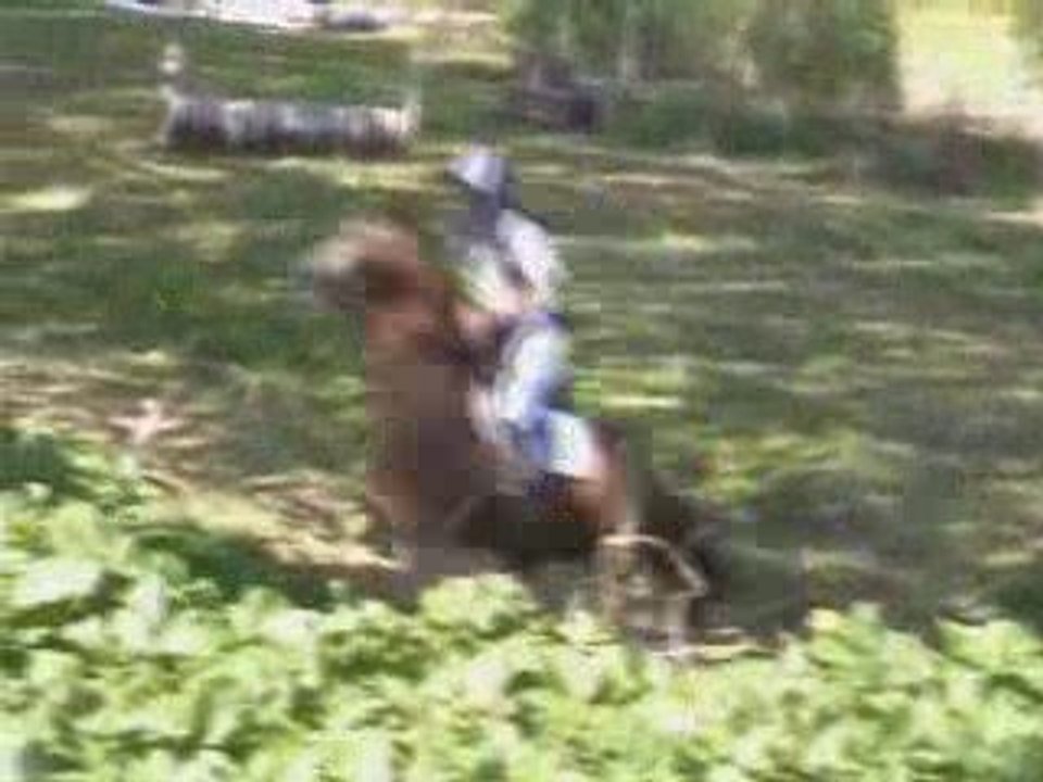 Indra cross