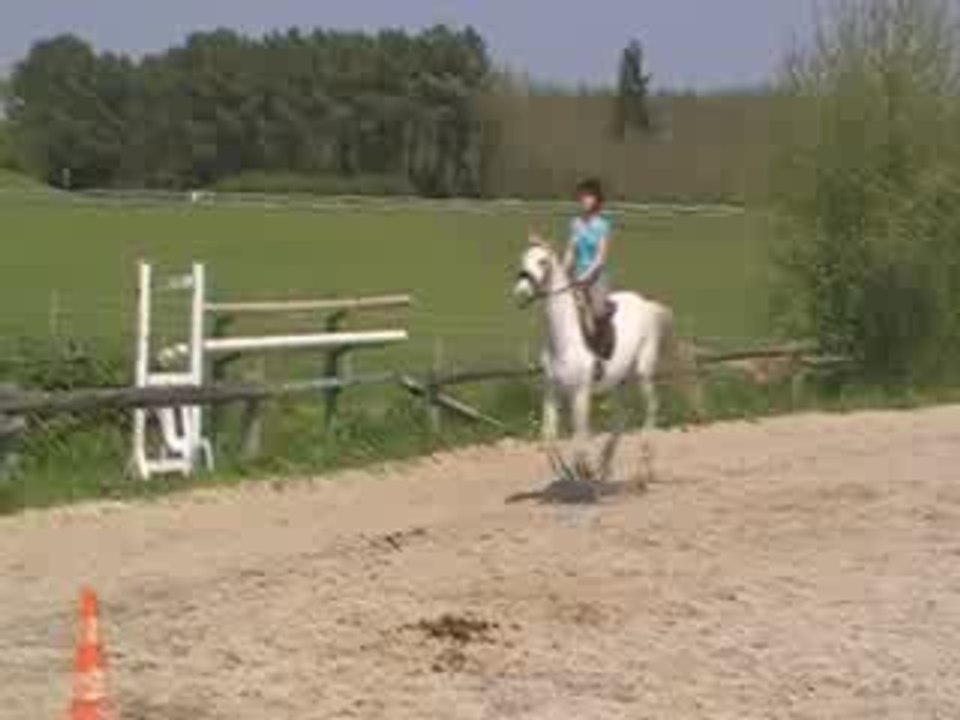 Oxer 3 22.04
