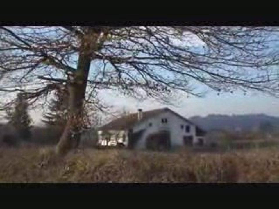 Chevreuils et vanneaux d'Arancou