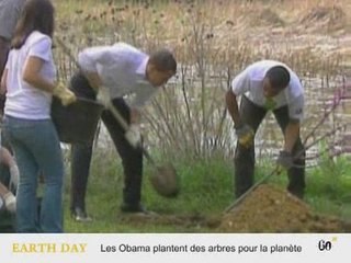 60 secondes : Arbres, bandes et martini