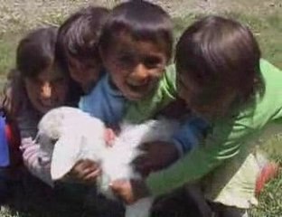 Yüksekova Güncel 2