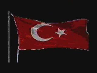 AKKUŞUN GÜRGENLERİ