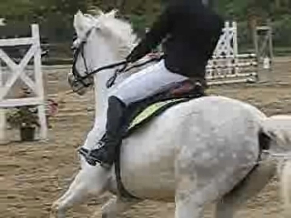 CSO Kerguélen Hélène & I Am