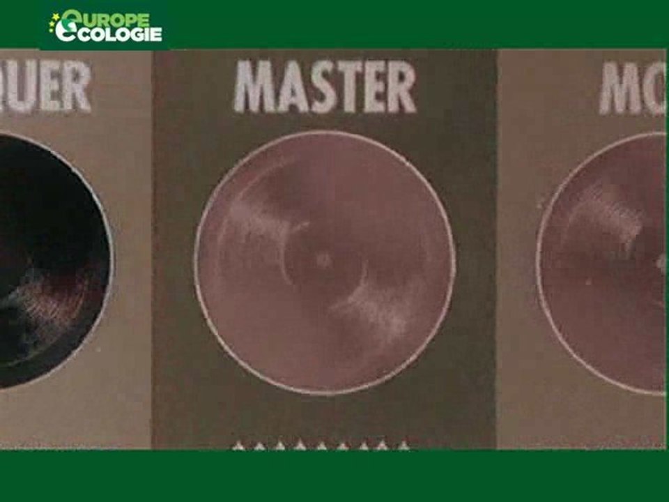 Elections Européennes Europe Ecologie Zapping vote 7 juin