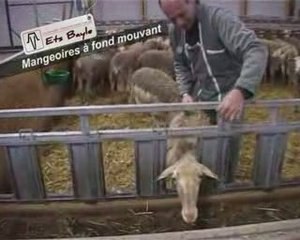 Mangeoires à fond mouvant