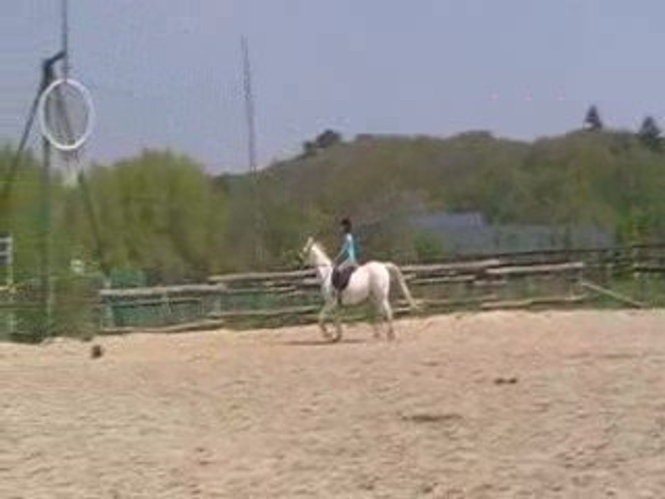 Vertical 1 22.04