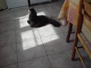 La boule de papier alu