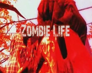 half-life 2 - Zombie life