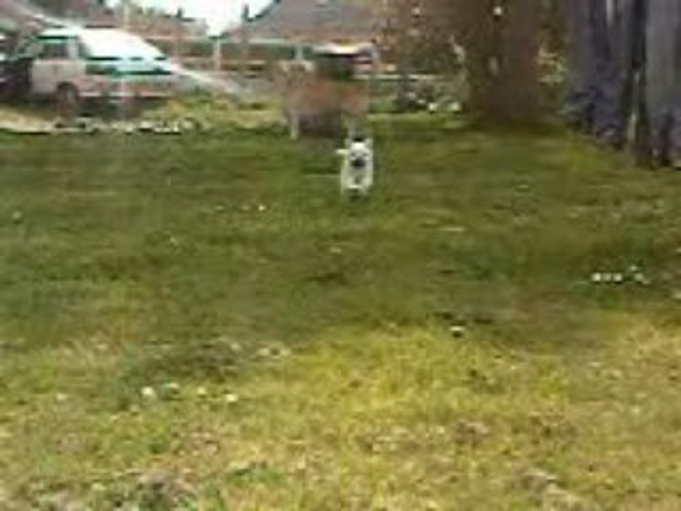 Vidéo0025
