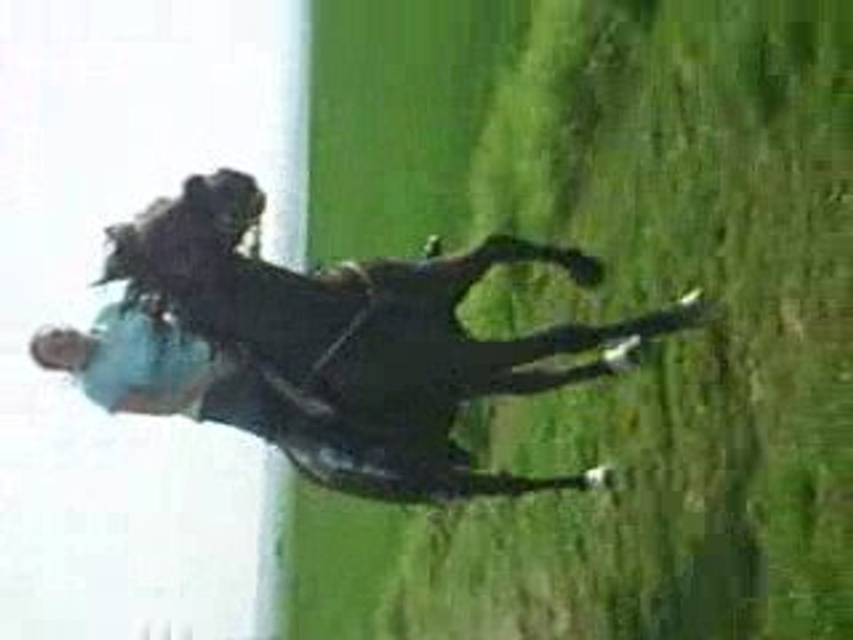 Quassou 039