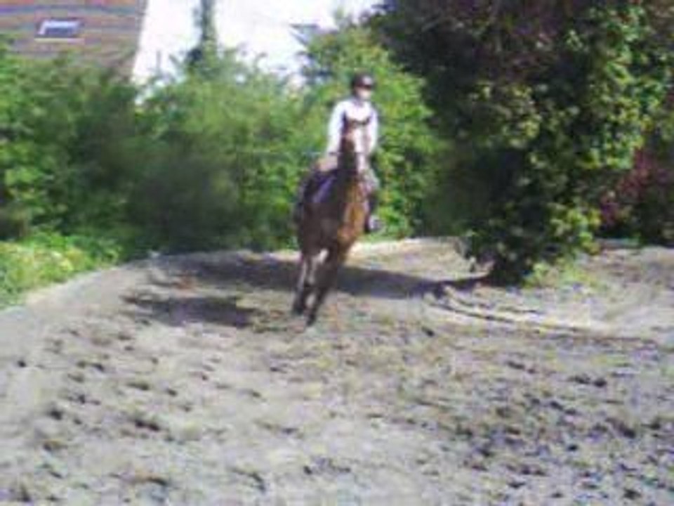 Couur au SHR du 22/04/09