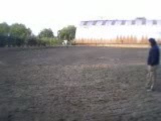 Goldstrike qui se défoule