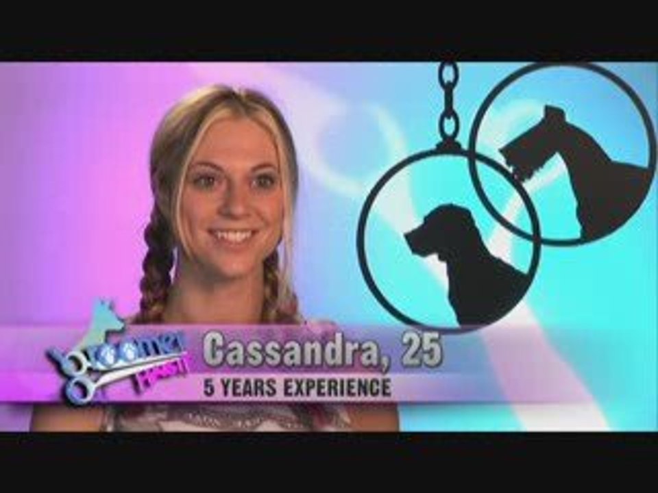 Groomer Has It - Doggy Massages