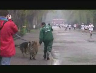 Bieg dookoła ZOO