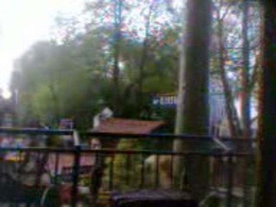 Europa-park , Les Chariots 1