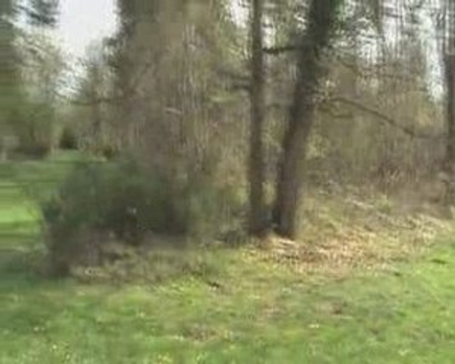 airsoft dimanche 19.04.09