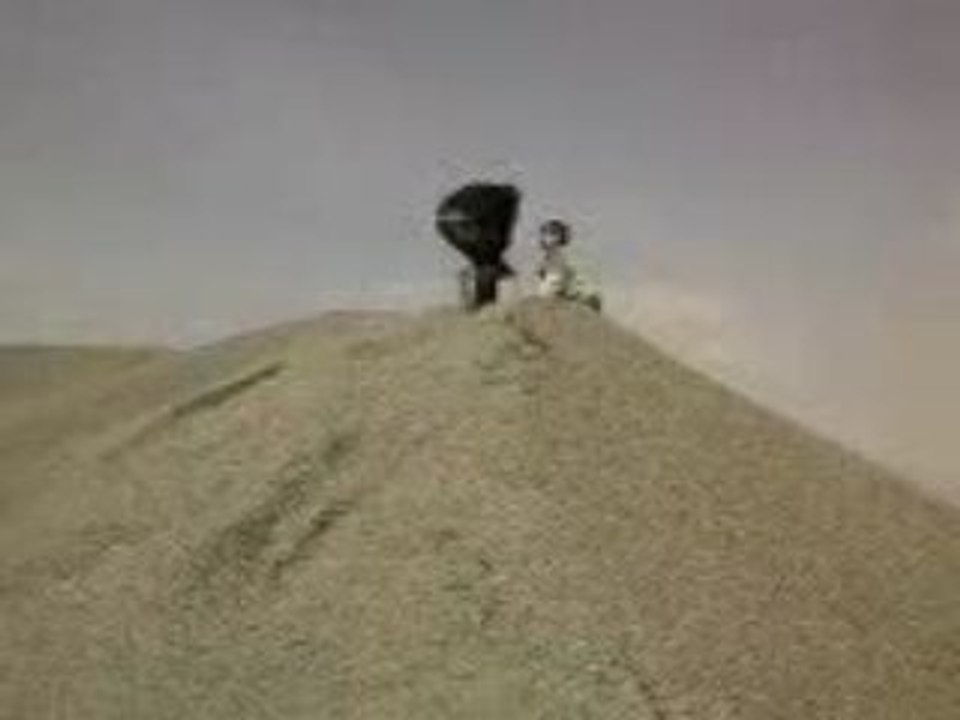 chute delirante et bagarre debile