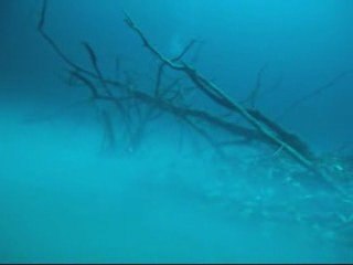 Angelita LES CENOTES