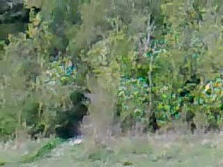 Friend Union - Vers l'Infini et l'Au-De... Terre!!