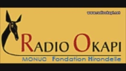 La faillite du leadership postcoloniale, le cas de UDPS (3)