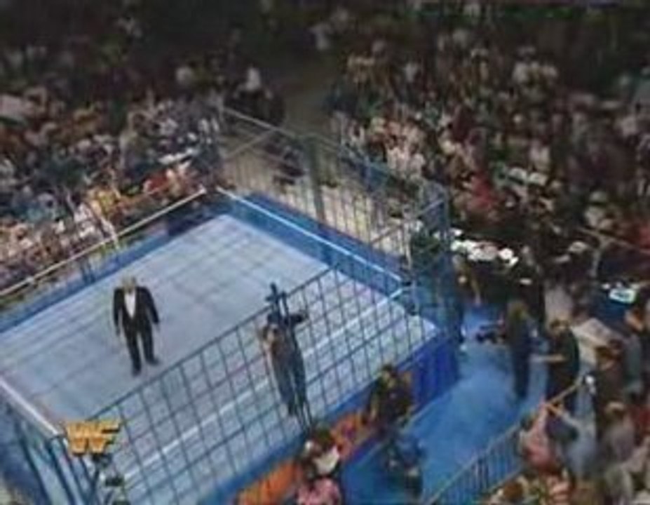 Bret Hart vs. Owen Hart, WWE Summerslam 1994, Part 1.