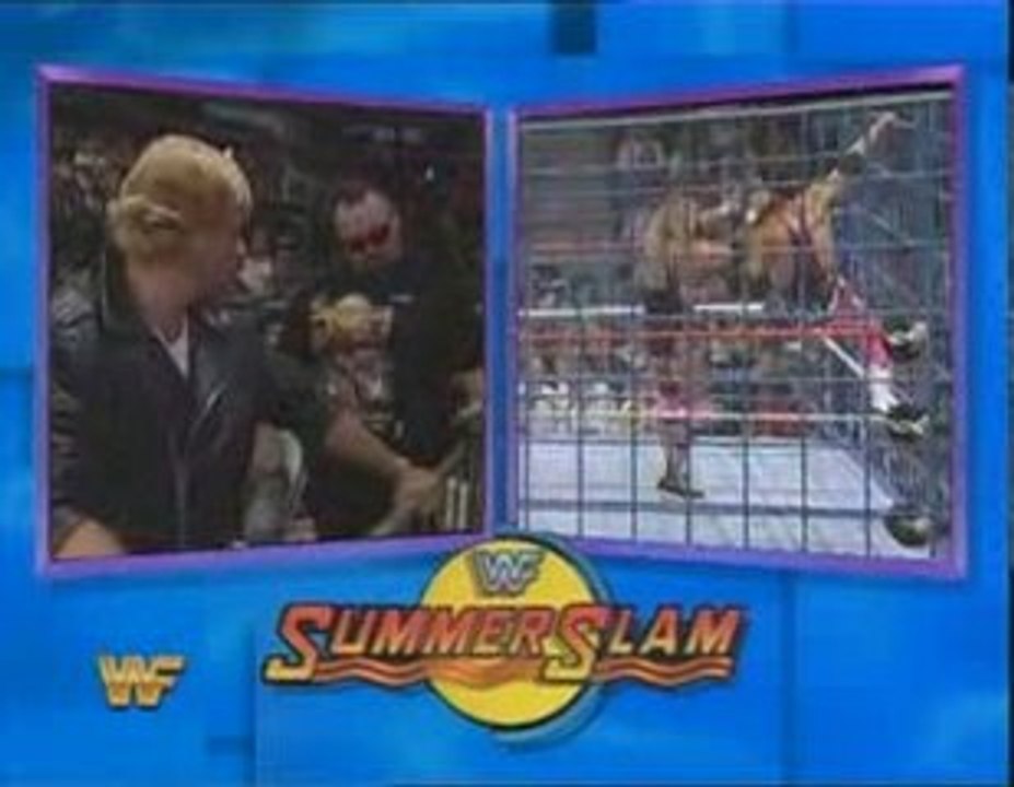 Bret Hart vs. Owen Hart, WWE Summerslam 1994, Part 3.