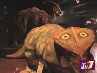 Exposition 'L'homme de Néanderthal' à Fontainebleau