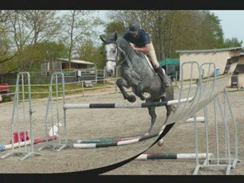 écurie du rocmet entraînement jeunes chevaux
