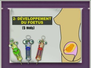 LA MINUTE DE LA SANTE - La grossesse
