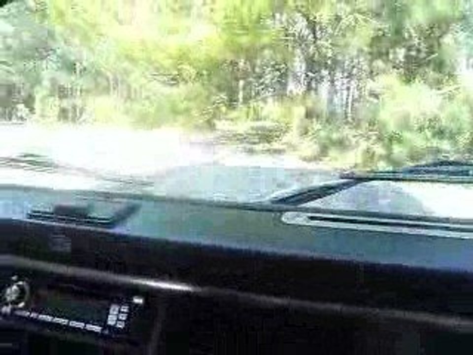 dans l'eau au marquenterre vu de l'intérrieur d'un defender