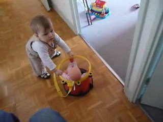 Lilith se balade dans l'appartement