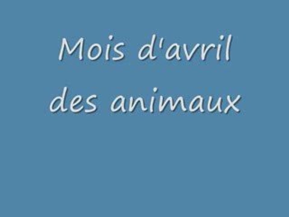 Animaux avril 09