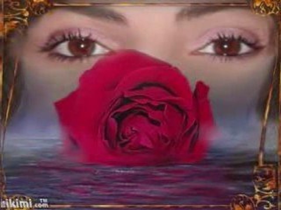 Life...Emilia Dina