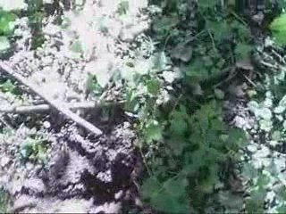 sortie du 23avril 2009