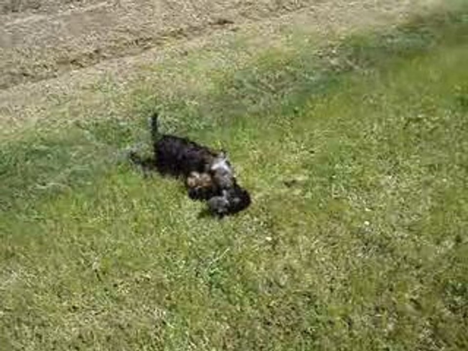 ELDORADO ET EXCLUSIVE