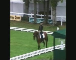 Kazan lion d'angers dressage