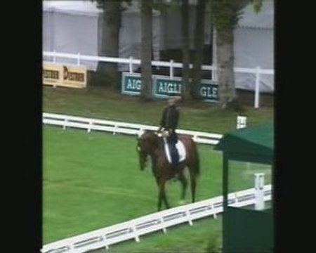 Kazan lion d'angers dressage