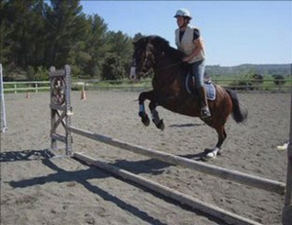 2 séances d'obstacle avec Nico
