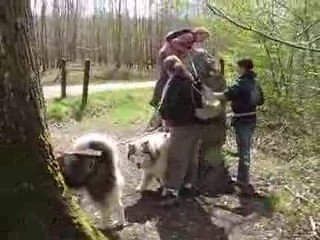 JULIE JOUE LES ACROBATES