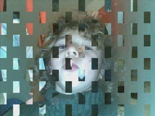 Los gitanos de burdeo