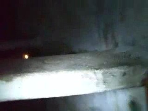 mysterieux reseau zogotunga alkarou catacombe riddim dareau