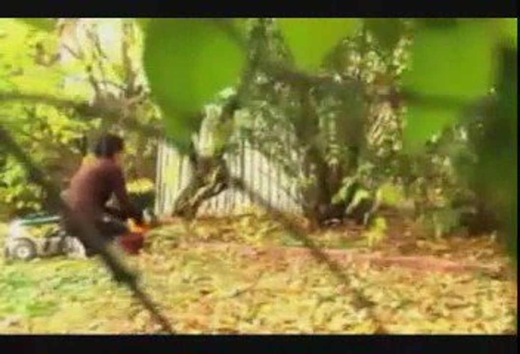 Wicked Wood - Trailer