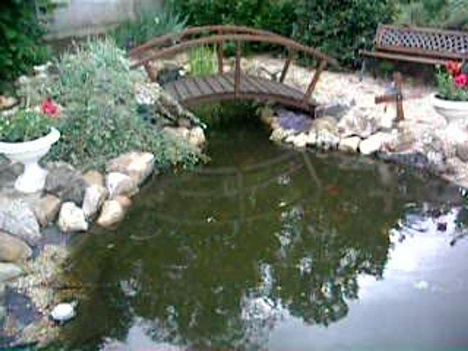 IMGP0721
